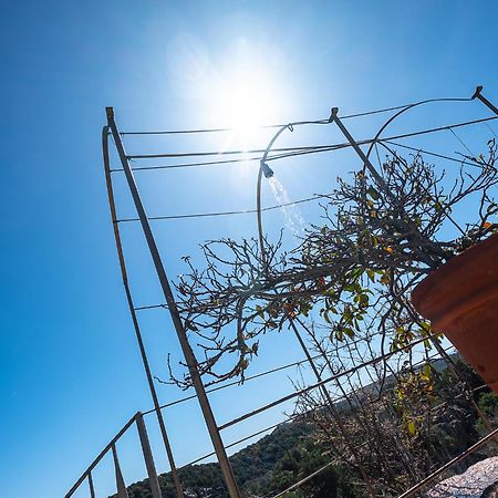 Sardinia Family Villas - Villa Nina With Private Pool Abbiadori 外观 照片